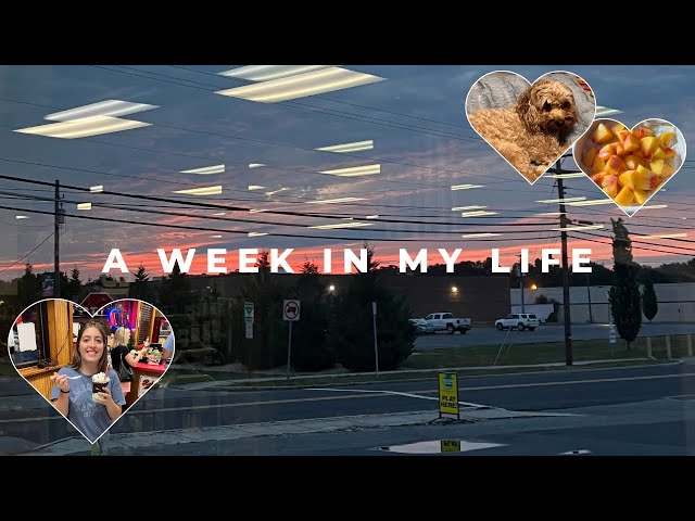 an uneventful week in my life | cooking, struggling to do my makeup, flight school, target haul