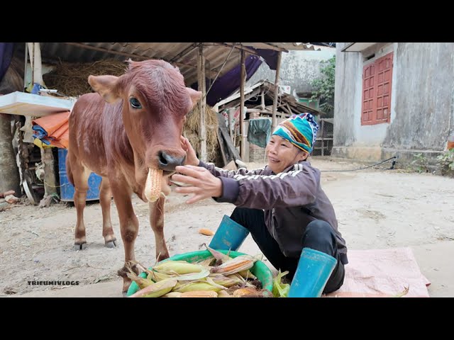 Daily Rural Life What’s Interesting About Farming and Gardening