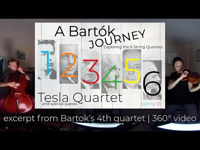 360° video | Béla Bartók's 4th String Quartet (excerpt) | Tesla Quartet | #ABartokJourney