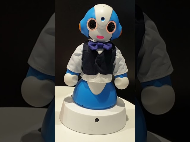 Japan Interactive Robot Assistant AI  #japan #interesting #ai #vtuber