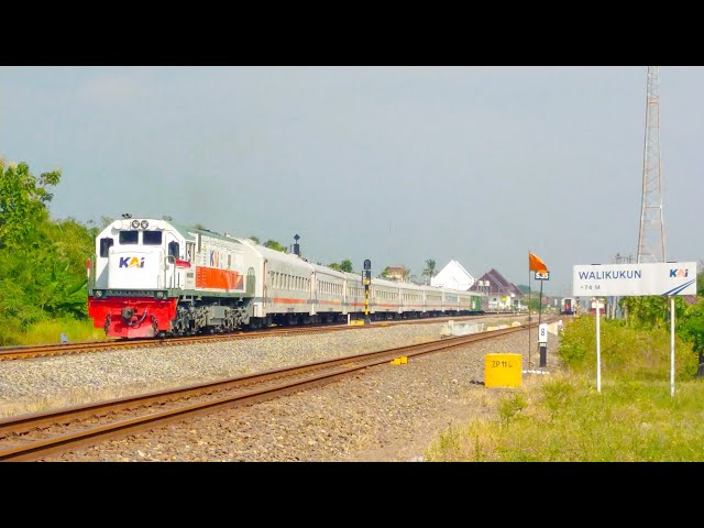 CC 201 83 06 YK feat KA SRI TANJUNG | Lempuyangan - Ketapang Lepas Stasiun Walikukun