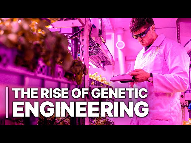 The Rise Of Genetic Engineering | Gene-Editing Technology | Science Documentary