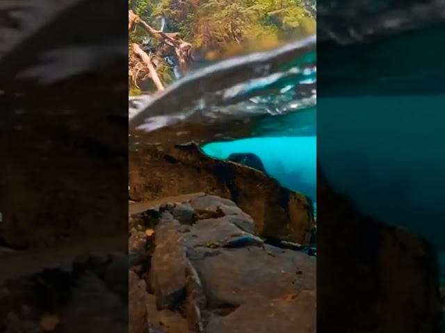 Wait For It 🔥😍 Extra Clear Water For You || Underwater Beautiful Nature View || 4K || #underwater