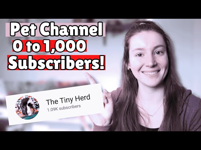 Tips to Grow a Pet YouTube Channel