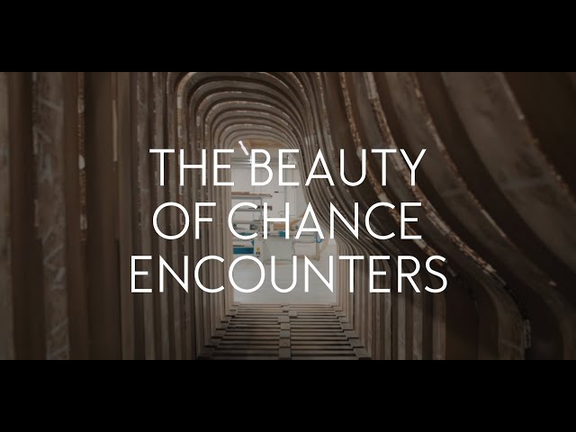 The Beauty of Chance Encounters promo