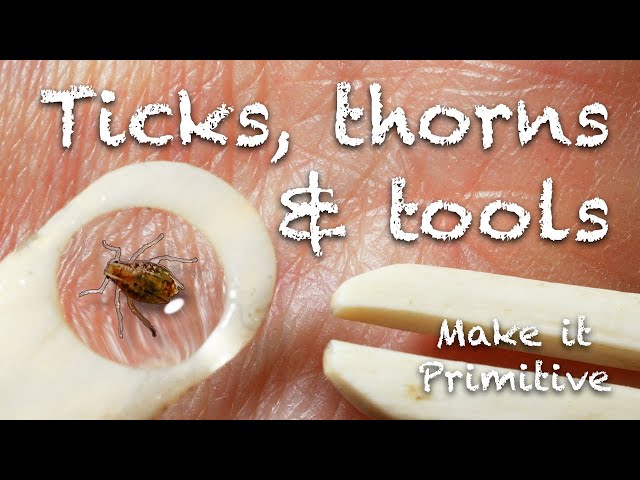 Bone tools 4: Primitive bone tweezers & tick remover & water drop magnifying lens 🦴