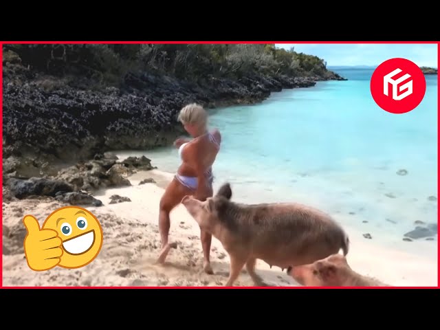 Best Funny Videos #254 😂 Try Not To Laugh Impossible 😆 Instant Regret Fails Compilation