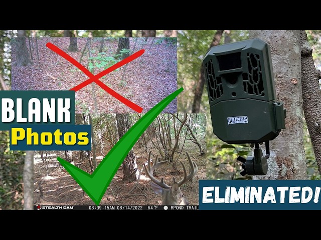 NO More False Triggers!!! 4 PROVEN Tips to ELIMINATE Trail Camera Blanks!!