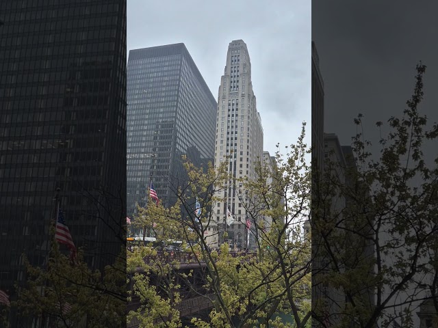 Chicago River Walk #chicago #riverWalk #TtumpBuilding #시카고 #리버크루즈 #시카고트럼프빌딩