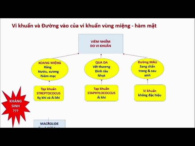 Bệnh lý viêm nhiễm vùng răng miệng - hàm mặt