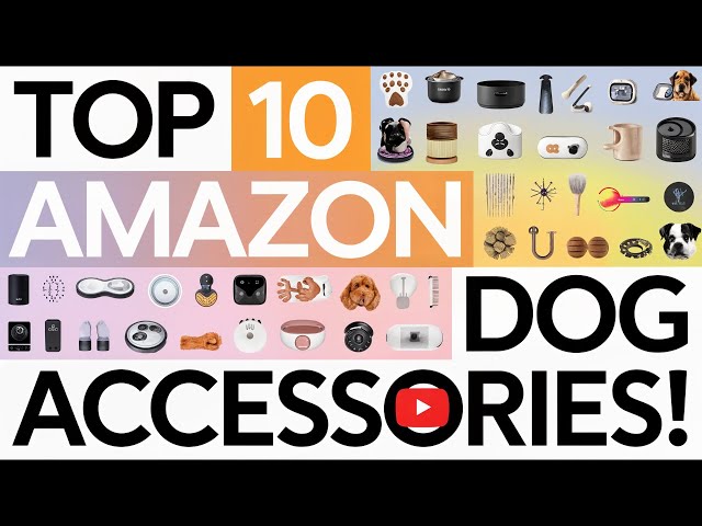 Top 10  Genius Amazon Dog accessories!