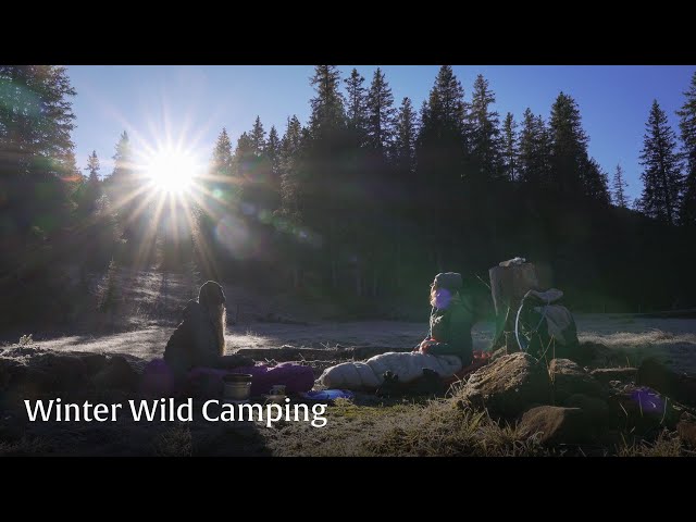 Winter Wild Camping | Switzerland