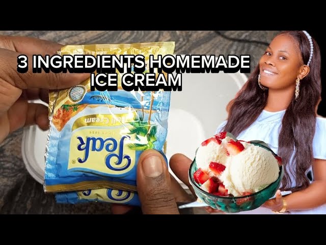 HOW TO MAKE ICE CREAM 🍨 2024/ Three ingredients homemade icecream