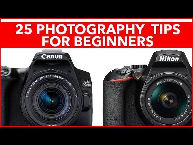 25 Cool Photography Tips for Beginners - How to get better photos from your digital camera