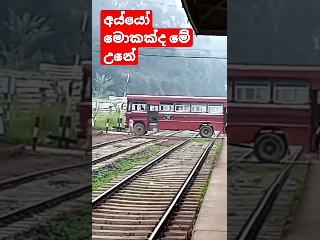 3.20 million views /bus stoped 😭😭😭on railway crossing  unexpectedly| Heeloya Srilanka |trainSL|BUS🚒🙏