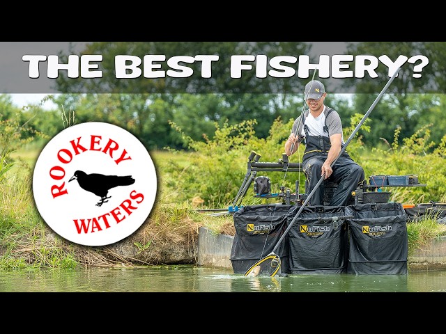 Is this the BEST Fishery in the UK? (Amazing Fishing Lakes)