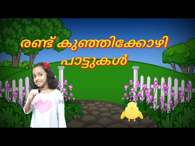 കുഞ്ഞിക്കോഴി പാട്ടുകൾ | Kuttippattukal | STD 01 | Malayalam | Firstbell 2.0 | Haiza's World |