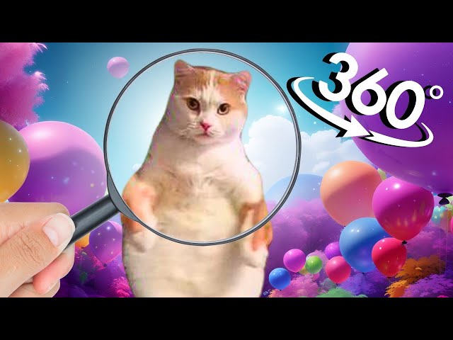 Find Cat Dancing to EDM in 360° VR | 4K