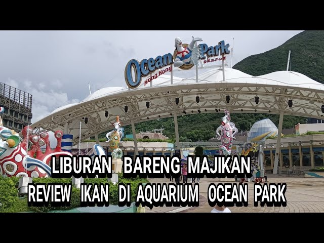 WISATA OCEAN PARK HONGKONG 2024 TIKET MASUK $428 HKD ADULT CHILD $239