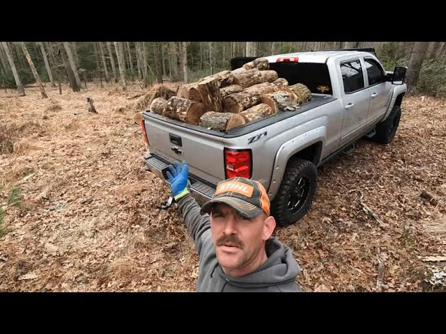 2nd roadside logging of 2023 some really nice red oak.