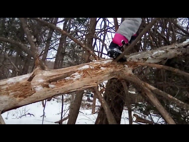 Tree Skip!!!