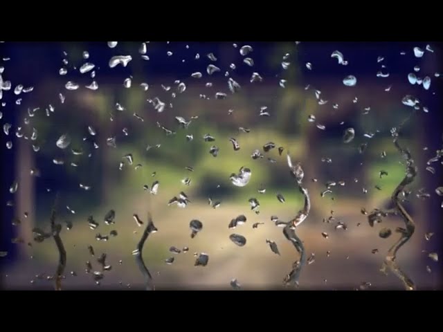 Listen to the rain showering over the park for the best sleep, ASMR, Relaxation, Meditation(2H)