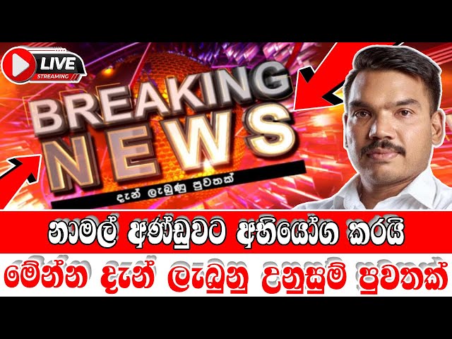 breaking news|election prediction srilanka news|hiru news|political news|hiru tv live|news 1st