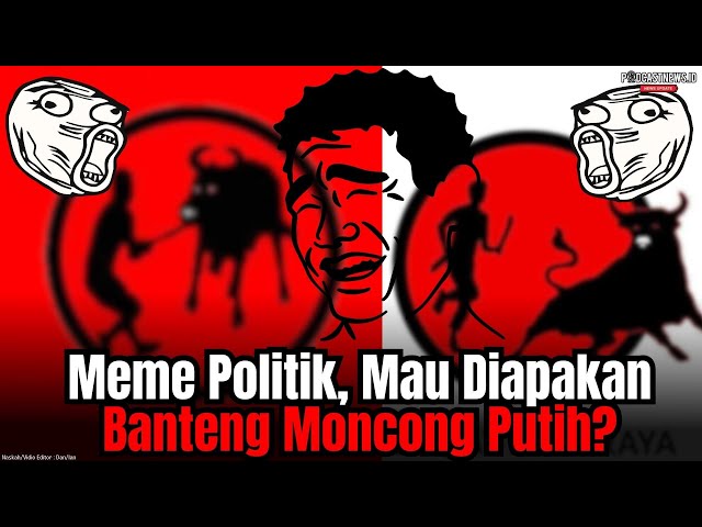 Meme Politik, Mau Diapakan Banteng Moncong Putih?