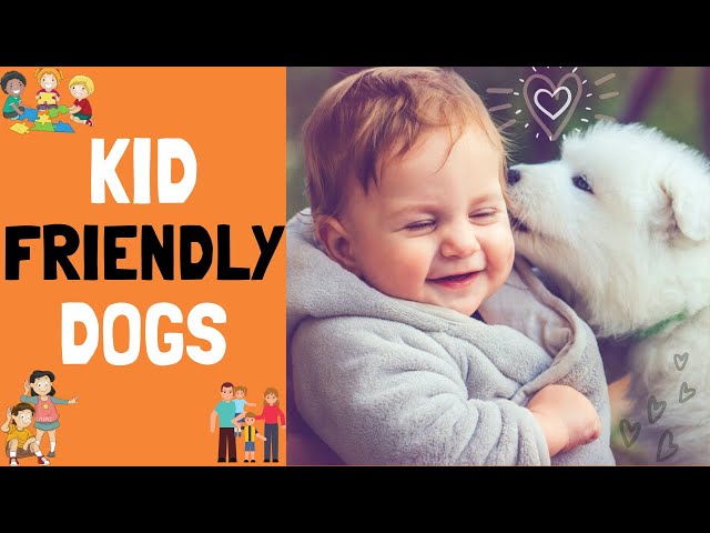 10 Kid Friendly dogs- Best Dogs for Families with Children