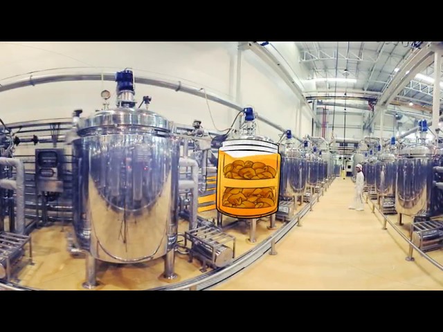 How It's Made: BRAND'S® Essence of Chicken