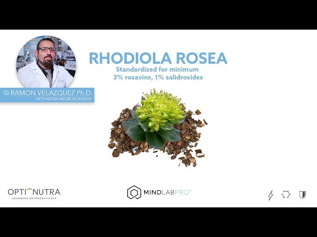 Rhodiola Rosea with Dr. Ramon Velazquez, Ph.D. | Mind Lab Pro®