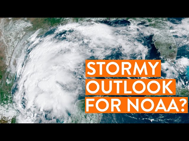 Cuts to NOAA could be catastrophic says Houston weather expert | Houston Matters