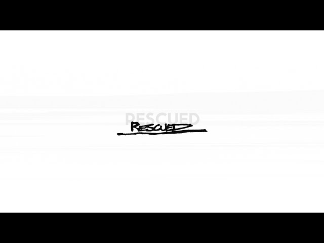 Foo Fighters - Rescued (Lyric Video)