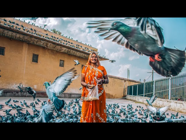 "Feed The Birds" Acoustic Virtual Reality Concert, from Mary Poppins (VR180 3D)