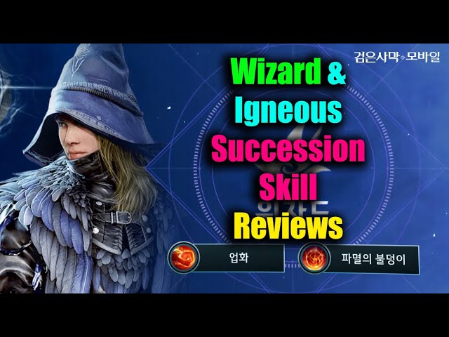 Black Desert Mobile Wizard & Igneous Succession Skill Reviews