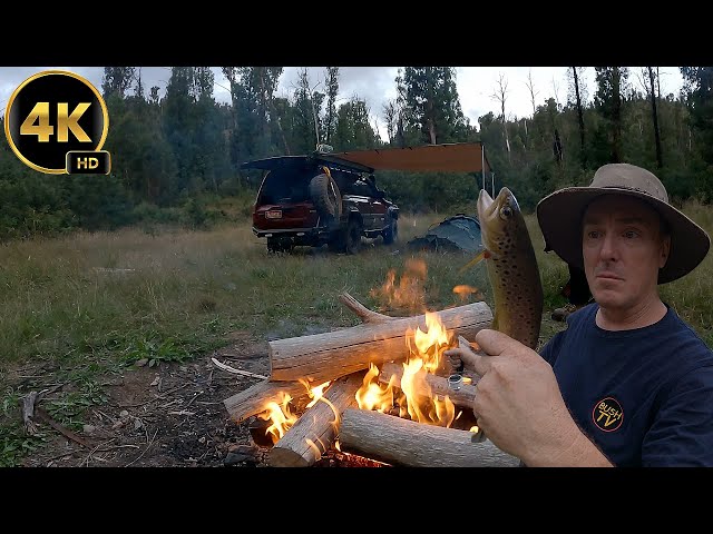 Solo Camping and Fishing Expedition in the Victorian High Country | Dargo To Bright - Part 1