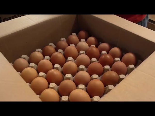 Egg prices expected to soar ...again? Here's why