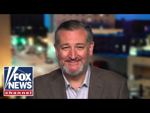 ‘1-POINT RACE’: Ted Cruz facing tough re-election battle