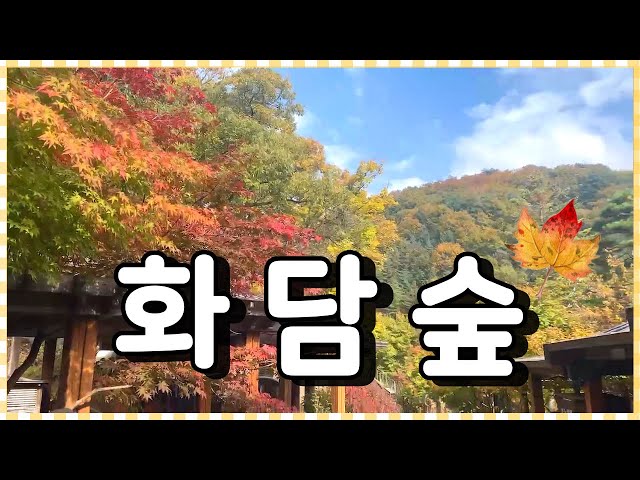 [단풍맛집]화담숲 화담채 그리고 모노레일🍁화담숲 예약꿀팁 단풍명소는 바로 여기!