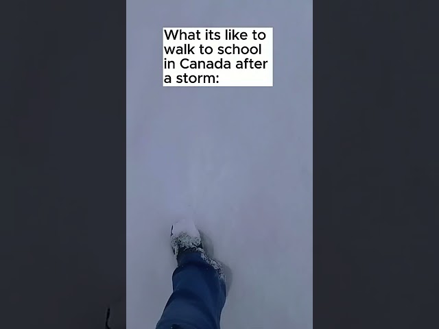 POV: Walking to school after a snow storm in Canada    #funny  #general #fyp