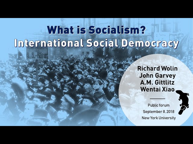 "What is Socialism? International Social Democracy" (9/08/18 panel)