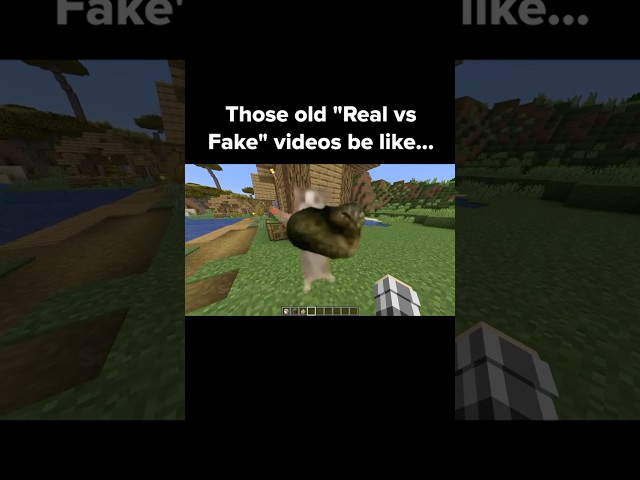 Minecraft Real vs Fake Moment