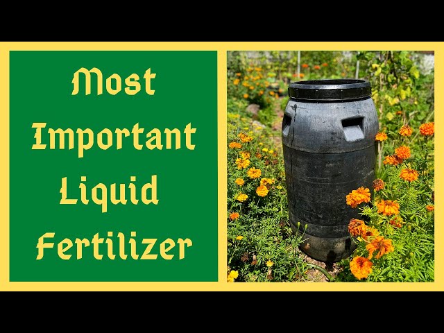 If You Only Make ONE Fertilizer Make It THIS ONE - Here's EXACTLY What Your Plants Need - JADAM JLF