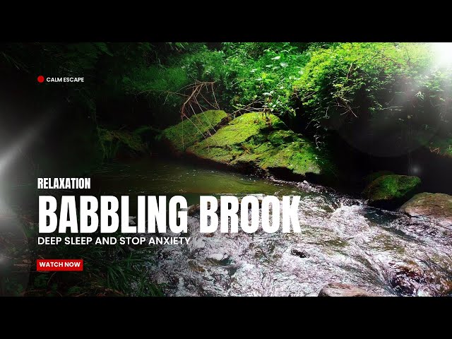 Nature's Sound Therapy | Babbling Brook for Stress Relief & Sleep : 10 Hours Nature Sounds