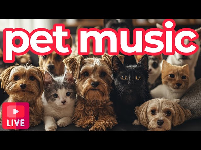 Pet Music 🐕🐈🦜 Music For Your Pets to Sleep To | Dog, Cat & Small Rodents Sleep Sounds