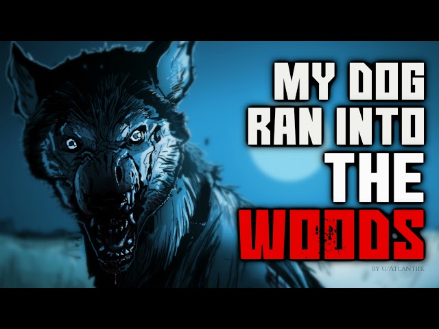 "My dog ran into the woods" Creepypasta