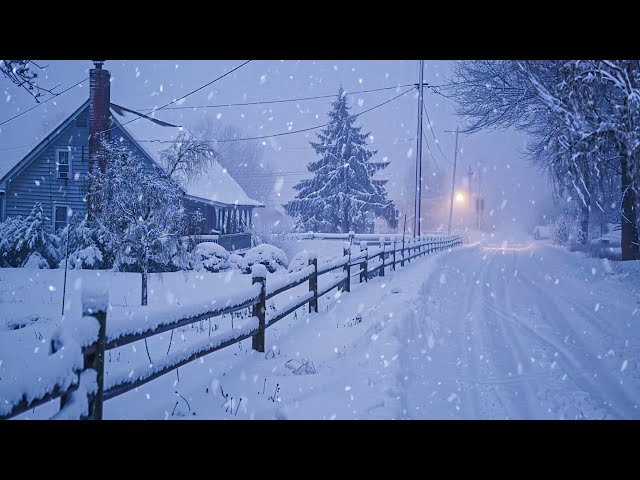 Fierce Blizzard Sweeps Through the Countryside: Howling Winds in a Harsh and Cold Winter