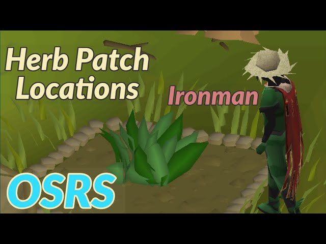 OSRS - Herb Run / Patch Location Farming Guide UPDATED