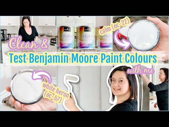 CLEAN & TEST BENJAMIN MOORE PAINT SAMPLES WITH ME | BENJAMIN MOORE OFF-WHITE COLLECTION |PAINT IDEAS