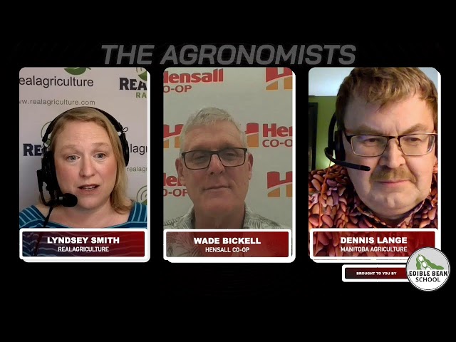 The Agronomists, Ep 187: Success with edible beans